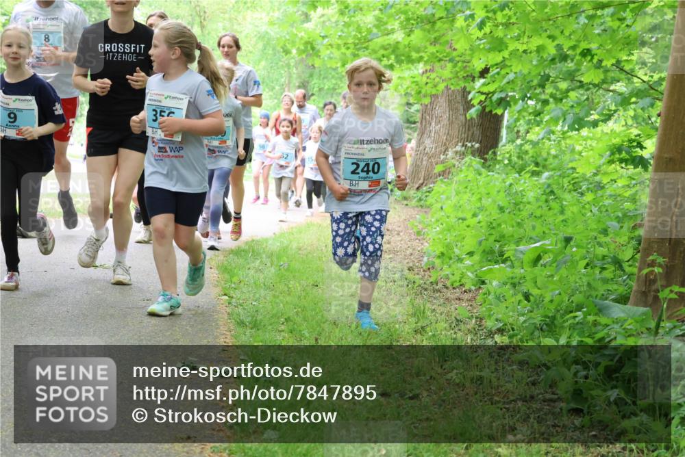 17.05.2025 - Störlauf Strokosch-Dieckow http://msf.ph/oto/7847895 17.05.2025 13:42:55 Laufen 2025, 8, 2025, 35, 98, 20, 15, 240 meine-sportfotos.de