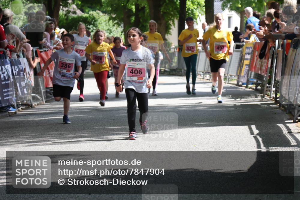 17.05.2025 - Störlauf Strokosch-Dieckow http://msf.ph/oto/7847904 17.05.2025 13:57:15 Ziel 386, 677, 496, 406, 492 meine-sportfotos.de