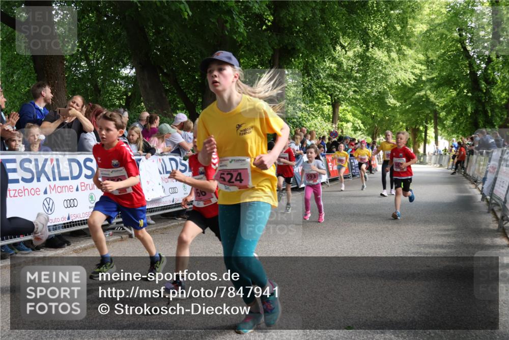 17.05.2025 - Störlauf Strokosch-Dieckow http://msf.ph/oto/7847941 17.05.2025 13:57:27 Ziel 0000, 6, 524, 593 meine-sportfotos.de