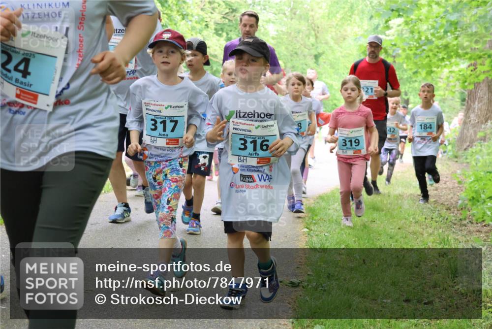 17.05.2025 - Störlauf Strokosch-Dieckow http://msf.ph/oto/7847971 17.05.2025 13:43:04 Laufen 2025, 24, 2025, 317, 2025, 316, 21, 319, 184 meine-sportfotos.de