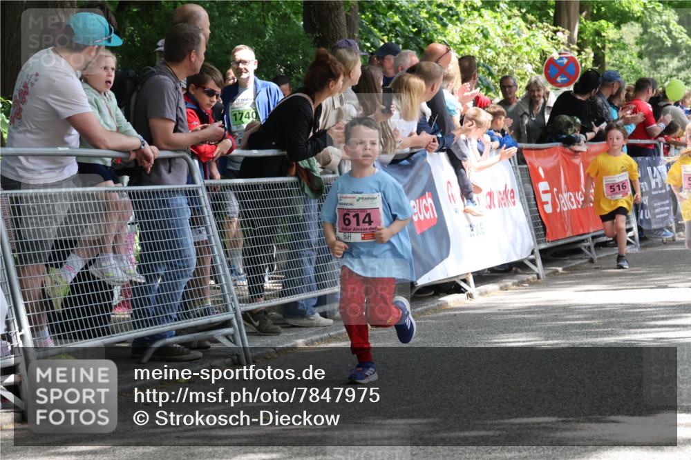 17.05.2025 - Störlauf Strokosch-Dieckow http://msf.ph/oto/7847975 17.05.2025 13:57:45 Ziel 1740, 614, 516 meine-sportfotos.de
