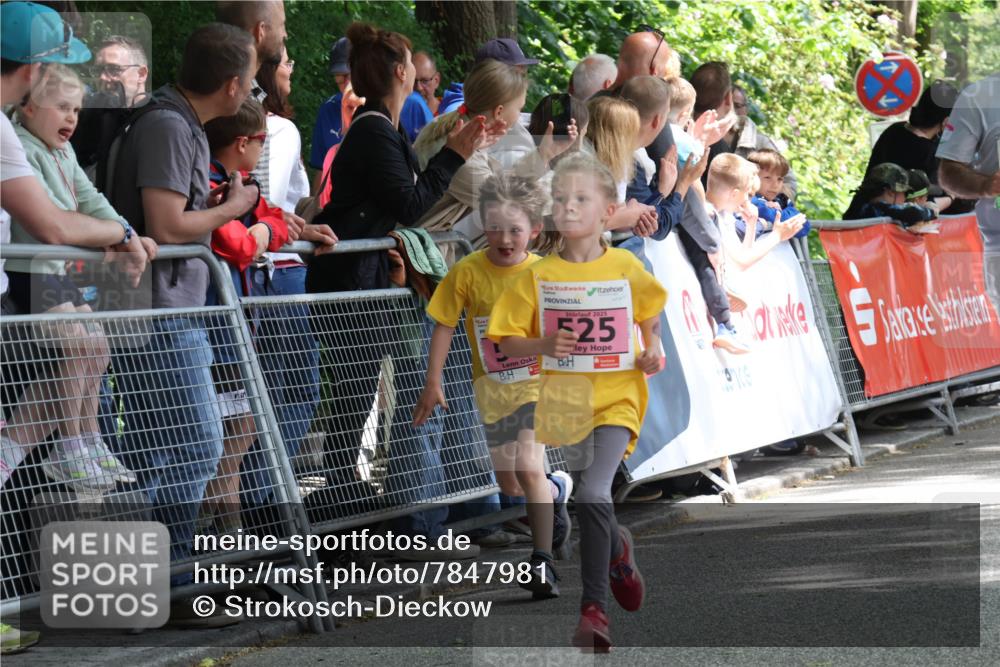 17.05.2025 - Störlauf Strokosch-Dieckow http://msf.ph/oto/7847981 17.05.2025 13:57:47 Ziel 2025, 525 meine-sportfotos.de