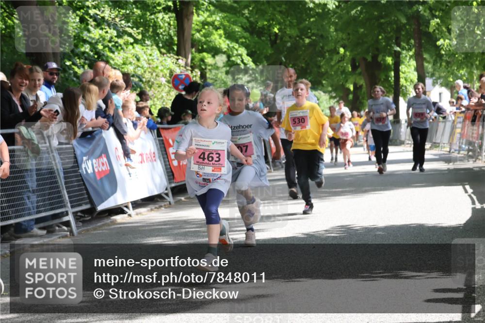 17.05.2025 - Störlauf Strokosch-Dieckow http://msf.ph/oto/7848011 17.05.2025 13:57:56 Ziel 2025, 463, 07, 530 meine-sportfotos.de