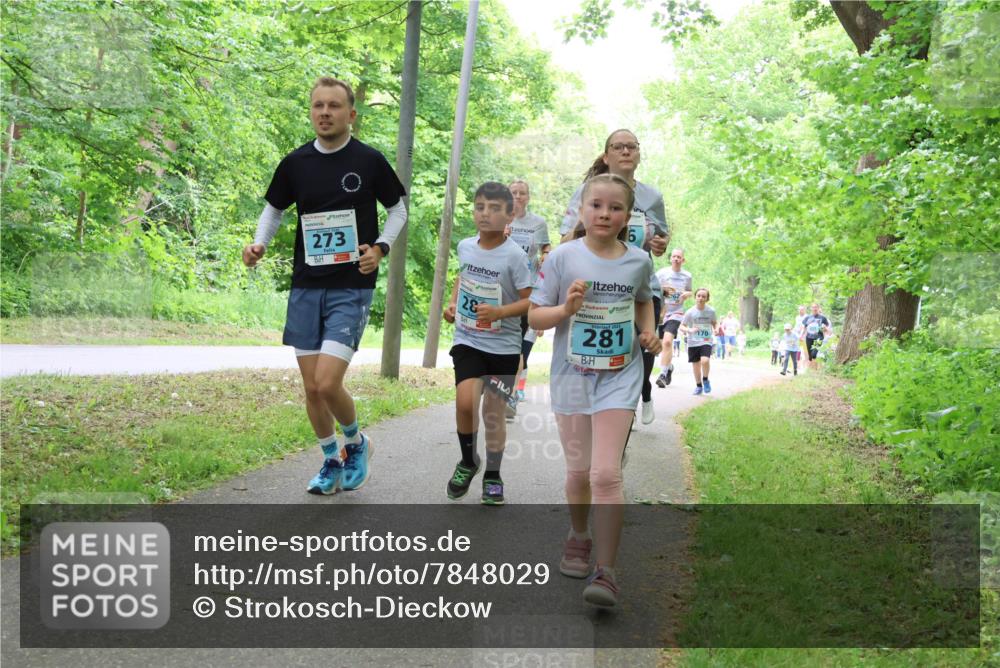 17.05.2025 - Störlauf Strokosch-Dieckow http://msf.ph/oto/7848029 17.05.2025 13:43:14 Laufen 273, 281, 170 meine-sportfotos.de