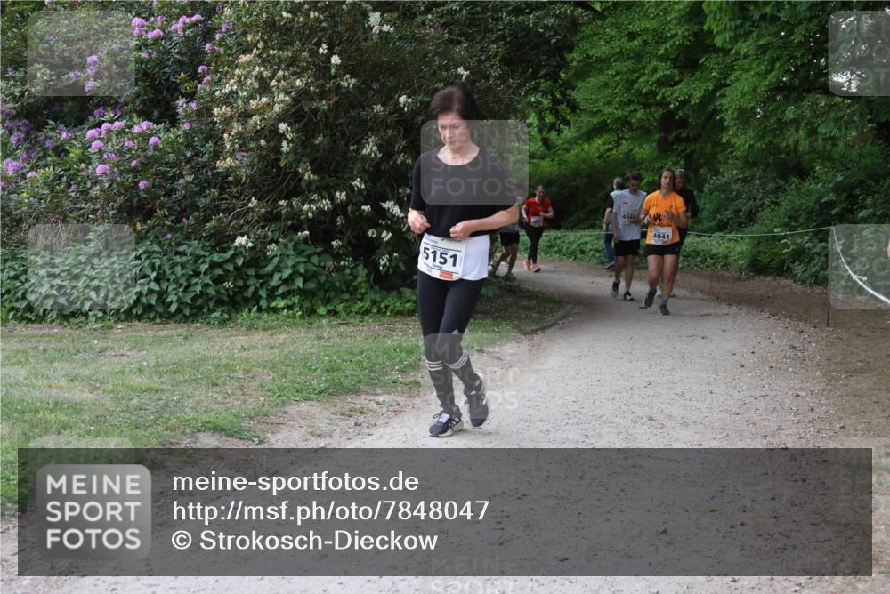 17.05.2025 - Störlauf Strokosch-Dieckow http://msf.ph/oto/7848047 17.05.2025 19:07:38 Laufen 5151, 4666, 4941 meine-sportfotos.de
