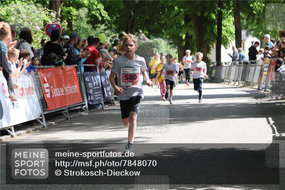 17.05.2025 - Störlauf Strokosch-Dieckow http://msf.ph/oto/7848070 17.05.2025 13:58:15 Ziel 2025, 580, 584, 583 meine-sportfotos.de