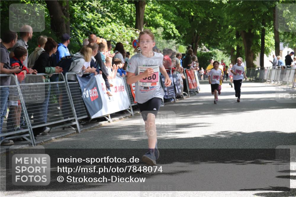 17.05.2025 - Störlauf Strokosch-Dieckow http://msf.ph/oto/7848074 17.05.2025 13:58:17 Ziel 80, 584, 583 meine-sportfotos.de