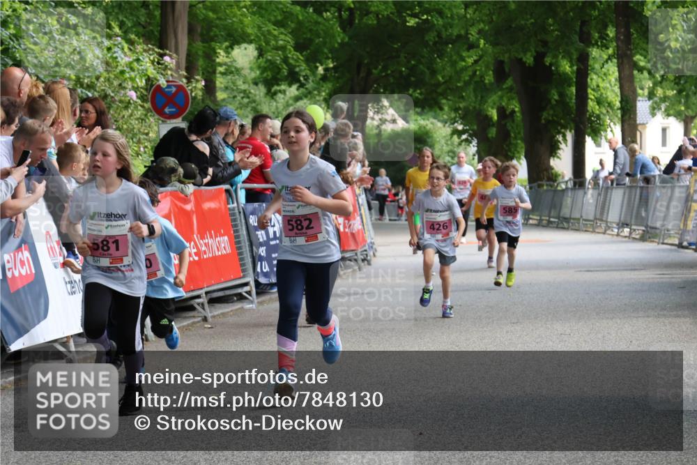17.05.2025 - Störlauf Strokosch-Dieckow http://msf.ph/oto/7848130 17.05.2025 13:58:41 Ziel 581, 582, 426, 585 meine-sportfotos.de