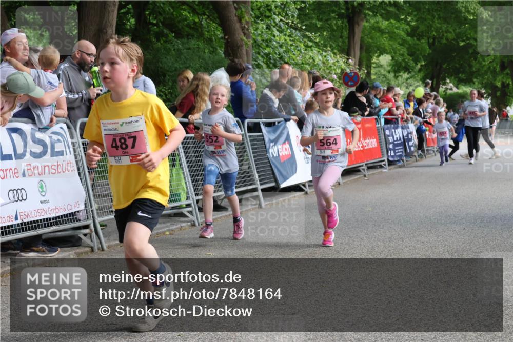 17.05.2025 - Störlauf Strokosch-Dieckow http://msf.ph/oto/7848164 17.05.2025 13:58:49 Ziel 2025, 487, 552, 564 meine-sportfotos.de