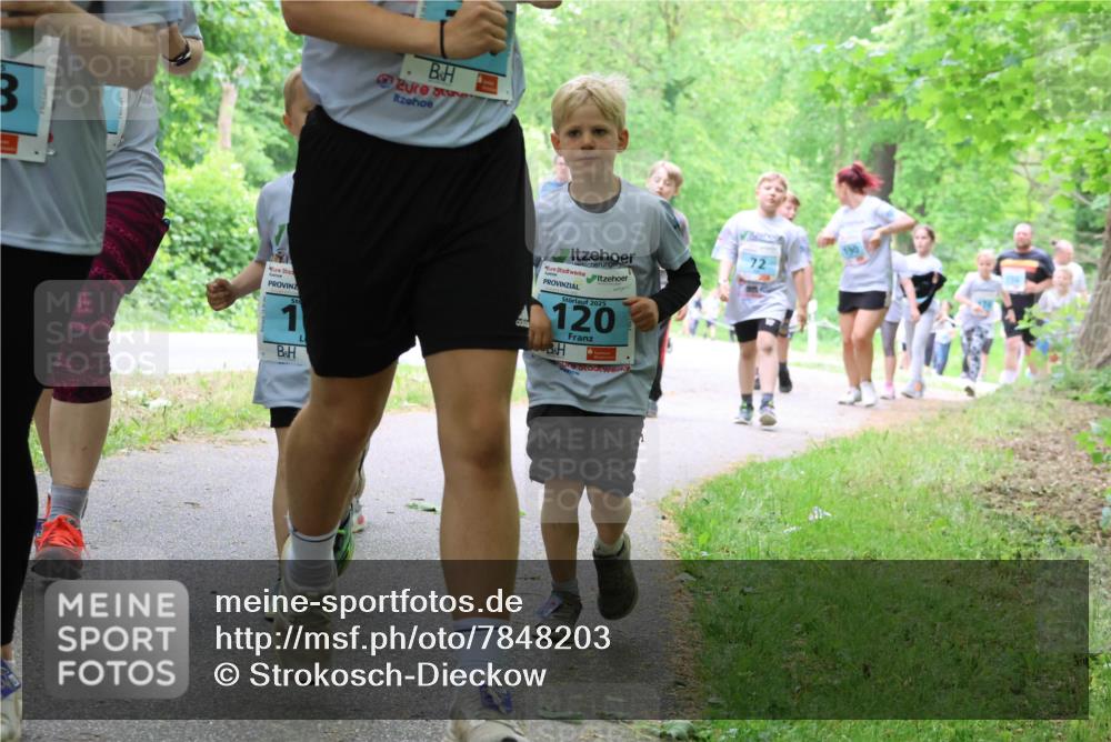 17.05.2025 - Störlauf Strokosch-Dieckow http://msf.ph/oto/7848203 17.05.2025 13:43:38 Laufen 1, 2025, 120, 72 meine-sportfotos.de