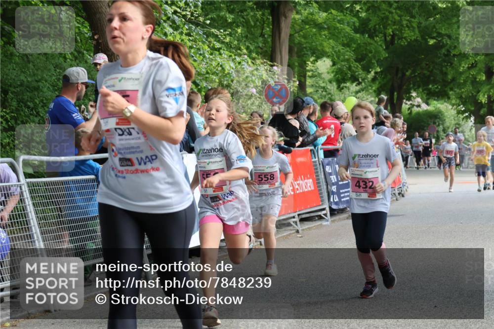 17.05.2025 - Störlauf Strokosch-Dieckow http://msf.ph/oto/7848239 17.05.2025 13:59:34 Ziel 558, 432 meine-sportfotos.de