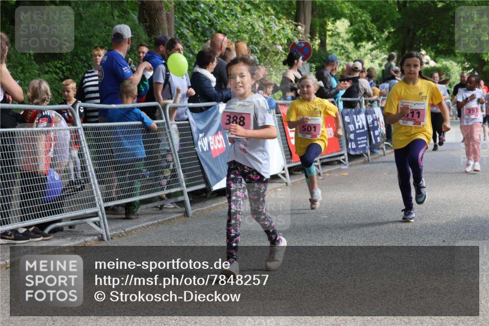 17.05.2025 - Störlauf Strokosch-Dieckow http://msf.ph/oto/7848257 17.05.2025 13:59:49 Ziel 388, 501, 393, 11 meine-sportfotos.de