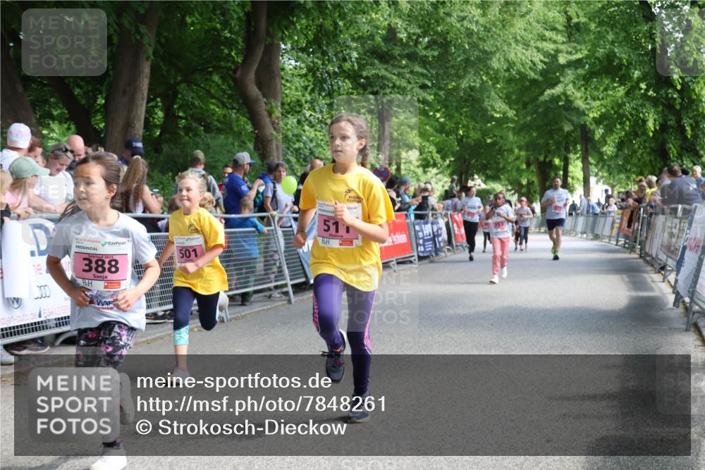 17.05.2025 - Störlauf Strokosch-Dieckow http://msf.ph/oto/7848261 17.05.2025 13:59:50 Ziel 388, 51, 501 meine-sportfotos.de