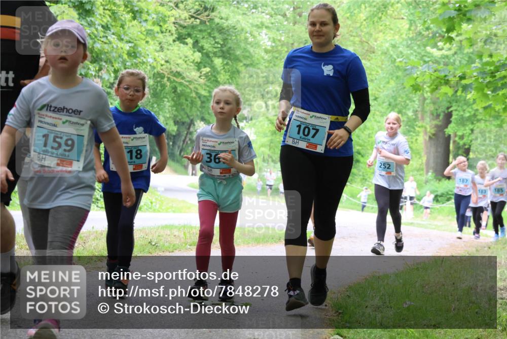 17.05.2025 - Störlauf Strokosch-Dieckow http://msf.ph/oto/7848278 17.05.2025 13:43:51 Laufen 2025, 159, 2025, 18, 20, 36, 2025, 107, 252, 187, 183, 185, 14 meine-sportfotos.de