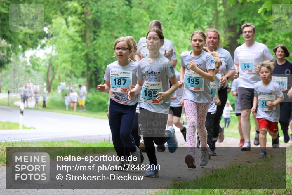 17.05.2025 - Störlauf Strokosch-Dieckow http://msf.ph/oto/7848290 17.05.2025 13:43:57 Laufen 59, 2025, 187, 2025, 185, 195, 75, 20 meine-sportfotos.de