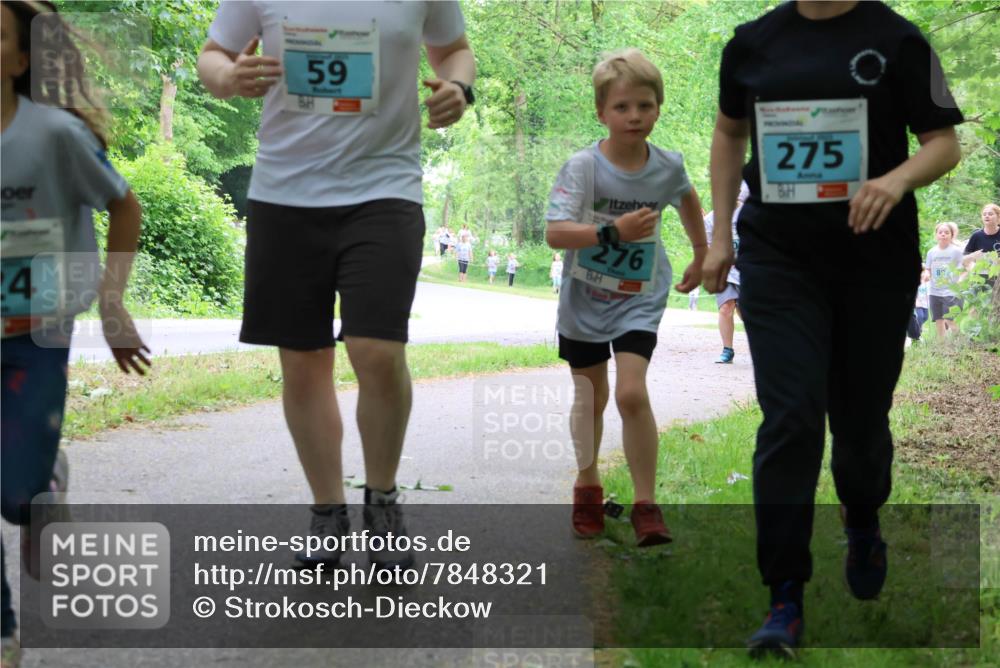 17.05.2025 - Störlauf Strokosch-Dieckow http://msf.ph/oto/7848321 17.05.2025 13:44:06 Laufen 24, 59, 276, 275, 8 meine-sportfotos.de