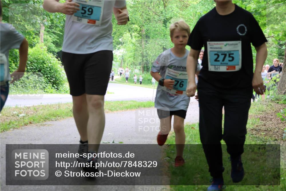 17.05.2025 - Störlauf Strokosch-Dieckow http://msf.ph/oto/7848329 17.05.2025 13:44:06 Laufen 59, 275, 276 meine-sportfotos.de
