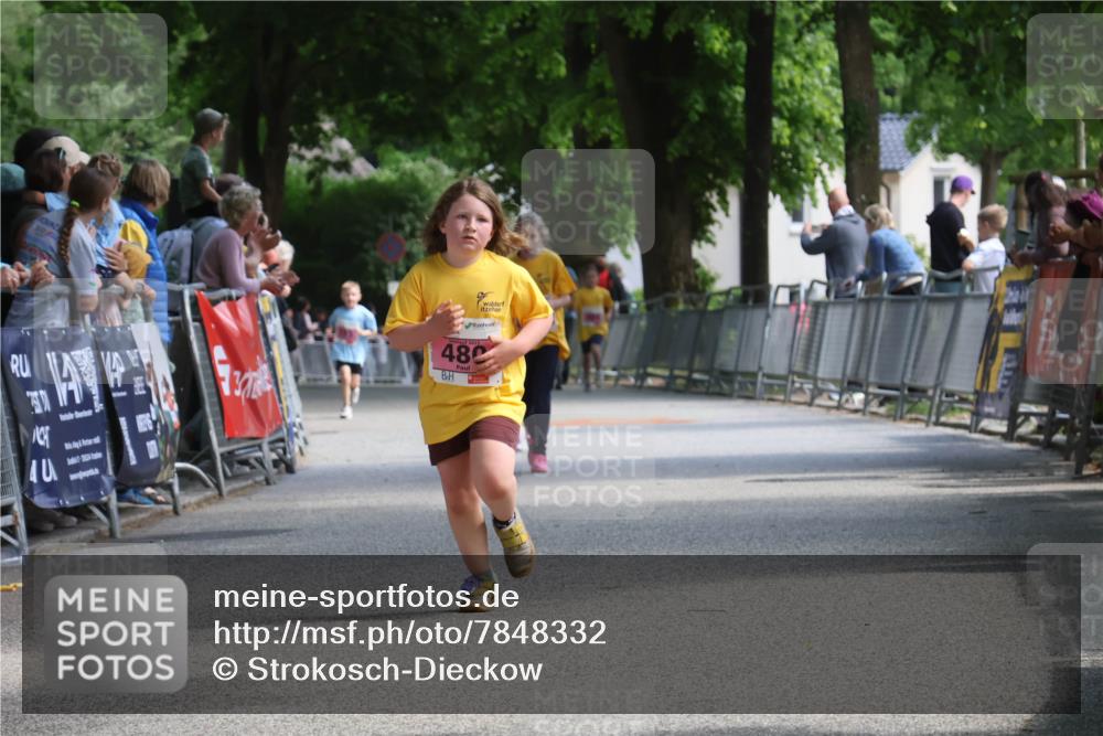 17.05.2025 - Störlauf Strokosch-Dieckow http://msf.ph/oto/7848332 17.05.2025 14:00:28 Ziel 40, 480 meine-sportfotos.de