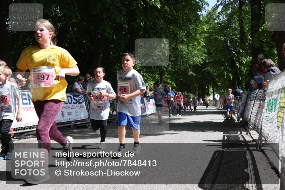 17.05.2025 - Störlauf Strokosch-Dieckow http://msf.ph/oto/7848413 17.05.2025 14:01:50 Ziel 497, 459, 458, 05 meine-sportfotos.de