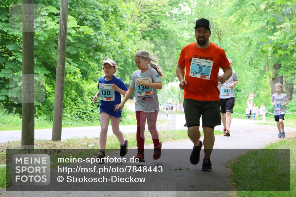 17.05.2025 - Störlauf Strokosch-Dieckow http://msf.ph/oto/7848443 17.05.2025 13:44:36 Laufen 130, 136, 5, 43, 51 meine-sportfotos.de