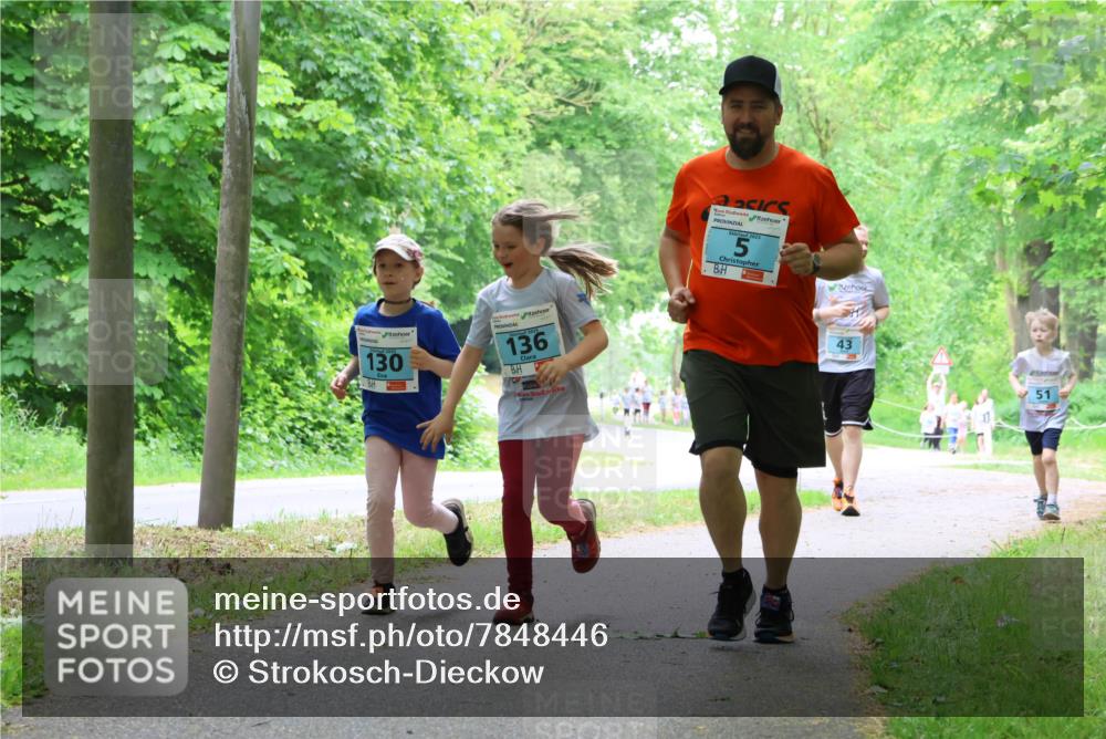 17.05.2025 - Störlauf Strokosch-Dieckow http://msf.ph/oto/7848446 17.05.2025 13:44:36 Laufen 130, 136, 2025, 5, 43, 51 meine-sportfotos.de