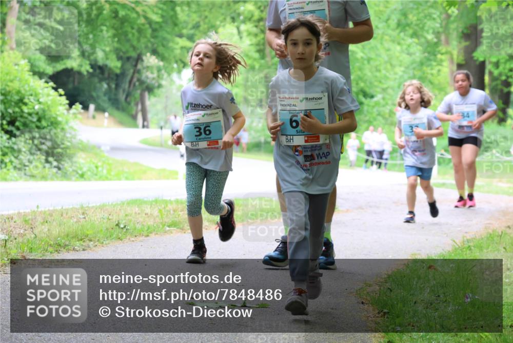 17.05.2025 - Störlauf Strokosch-Dieckow http://msf.ph/oto/7848486 17.05.2025 13:44:49 Laufen 2025, 36, 2025, 20, 5, 6, 25 meine-sportfotos.de