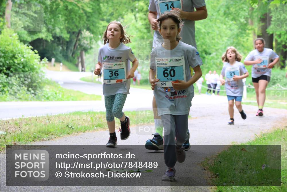 17.05.2025 - Störlauf Strokosch-Dieckow http://msf.ph/oto/7848489 17.05.2025 13:44:49 Laufen 2025, 14, 2025, 36, 2025, 60, 33 meine-sportfotos.de