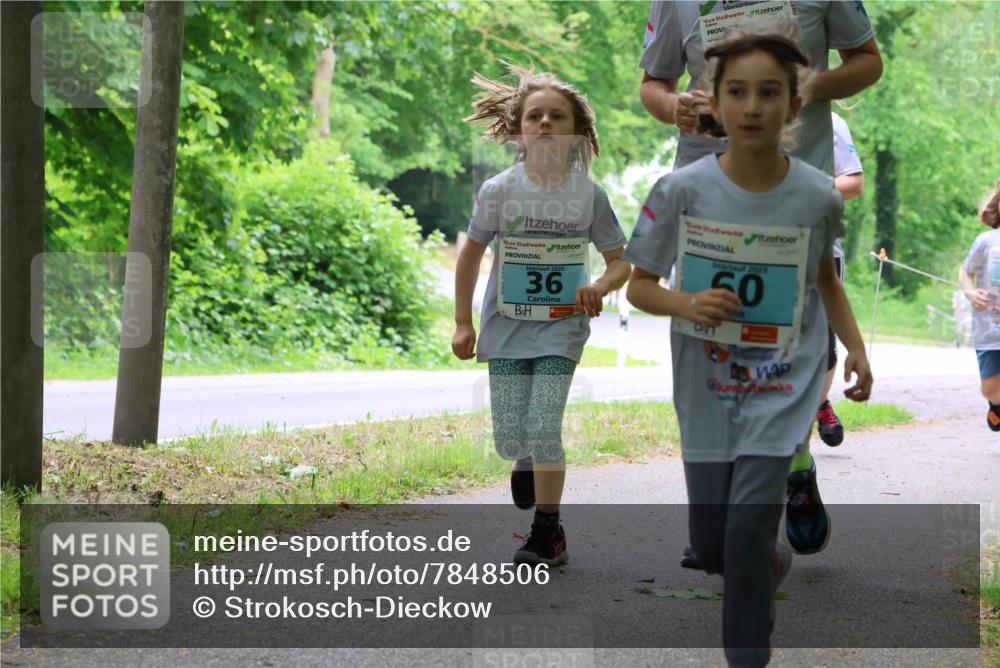 17.05.2025 - Störlauf Strokosch-Dieckow http://msf.ph/oto/7848506 17.05.2025 13:44:50 Laufen 2025, 36, 2025, 50, 927 meine-sportfotos.de