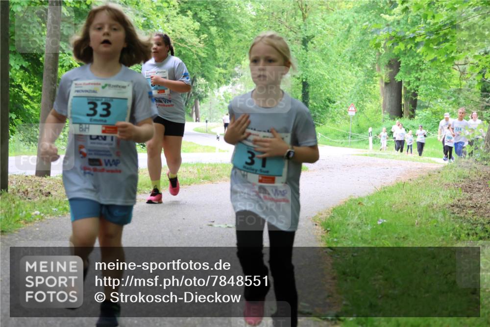 17.05.2025 - Störlauf Strokosch-Dieckow http://msf.ph/oto/7848551 17.05.2025 13:44:56 Laufen 33, 31, 224 meine-sportfotos.de