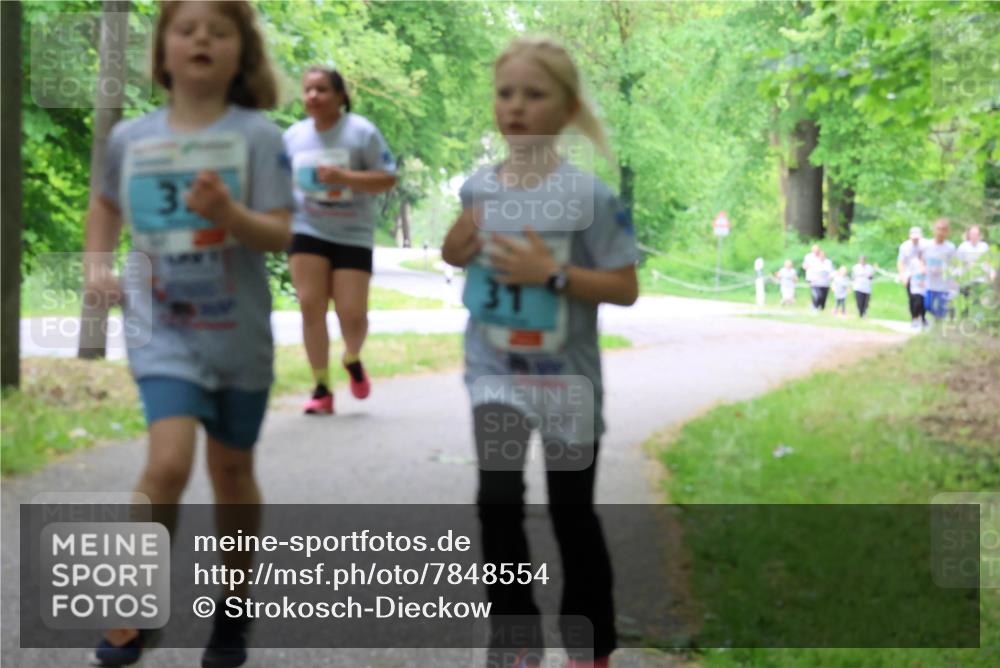 17.05.2025 - Störlauf Strokosch-Dieckow http://msf.ph/oto/7848554 17.05.2025 13:44:56 Laufen 32, 31 meine-sportfotos.de