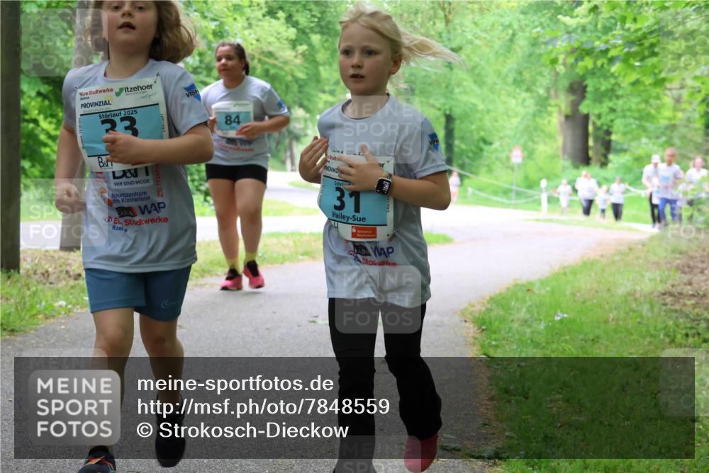 17.05.2025 - Störlauf Strokosch-Dieckow http://msf.ph/oto/7848559 17.05.2025 13:44:56 Laufen 2025, 23, 84, 31 meine-sportfotos.de
