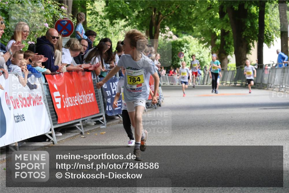 17.05.2025 - Störlauf Strokosch-Dieckow http://msf.ph/oto/7848586 17.05.2025 14:09:37 Ziel 40, 784 meine-sportfotos.de