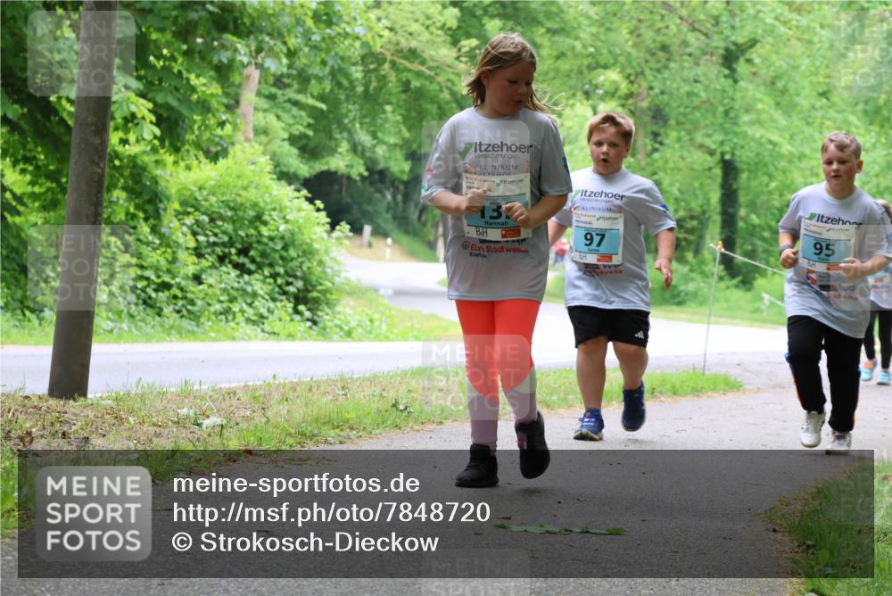 17.05.2025 - Störlauf Strokosch-Dieckow http://msf.ph/oto/7848720 17.05.2025 13:45:46 Laufen 2025, 133, 97, 95 meine-sportfotos.de