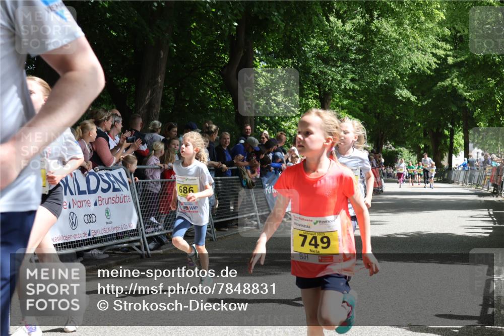 17.05.2025 - Störlauf Strokosch-Dieckow http://msf.ph/oto/7848831 17.05.2025 14:11:49 Ziel 686, 49, 2025, 749 meine-sportfotos.de
