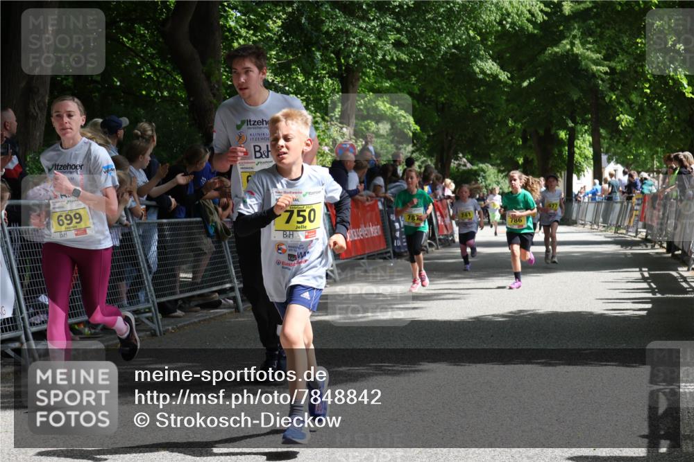 17.05.2025 - Störlauf Strokosch-Dieckow http://msf.ph/oto/7848842 17.05.2025 14:12:00 Ziel 699, 2025, 750, 786, 977 meine-sportfotos.de
