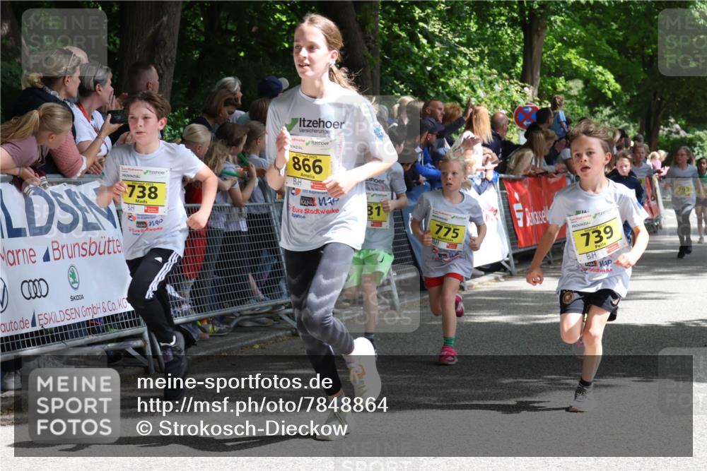 17.05.2025 - Störlauf Strokosch-Dieckow http://msf.ph/oto/7848864 17.05.2025 14:12:12 Ziel 738, 866, 81, 775, 2025, 739, 793 meine-sportfotos.de