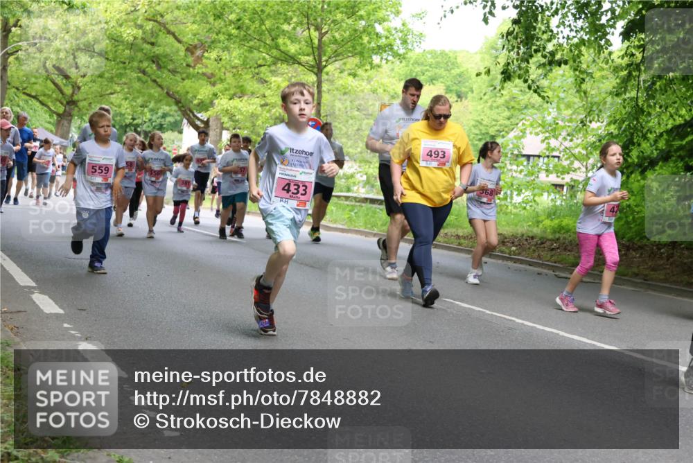 17.05.2025 - Störlauf Strokosch-Dieckow http://msf.ph/oto/7848882 17.05.2025 13:46:57 Laufen 559, 433, 493, 568, 47 meine-sportfotos.de
