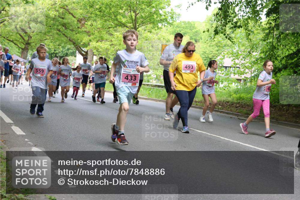 17.05.2025 - Störlauf Strokosch-Dieckow http://msf.ph/oto/7848886 17.05.2025 13:46:57 Laufen 417, 559, 556, 381, 433, 493 meine-sportfotos.de