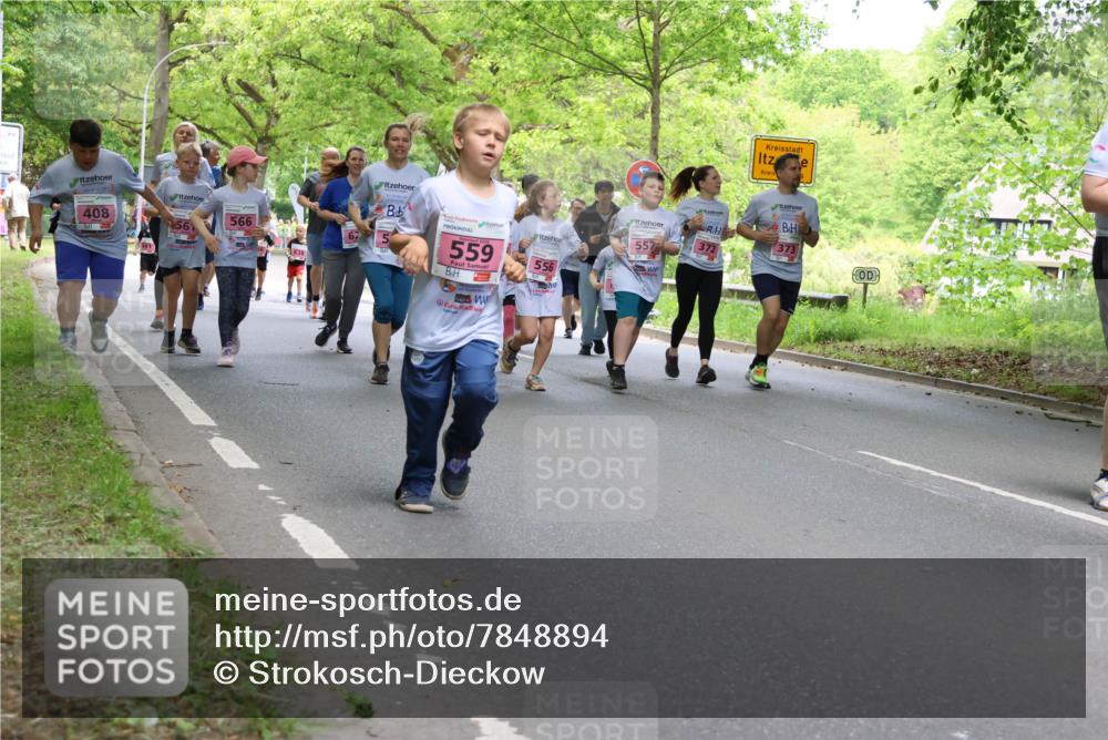 17.05.2025 - Störlauf Strokosch-Dieckow http://msf.ph/oto/7848894 17.05.2025 13:46:58 Laufen 408, 56, 557, 372, 566, 559, 556 meine-sportfotos.de