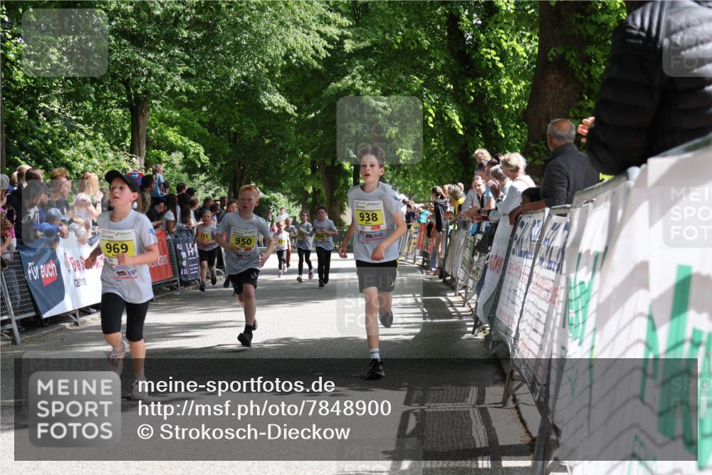 17.05.2025 - Störlauf Strokosch-Dieckow http://msf.ph/oto/7848900 17.05.2025 14:12:24 Ziel 969, 10, 950, 938 meine-sportfotos.de