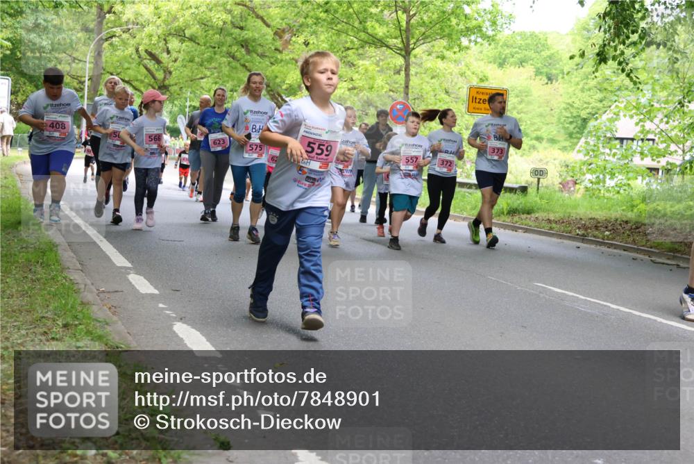 17.05.2025 - Störlauf Strokosch-Dieckow http://msf.ph/oto/7848901 17.05.2025 13:46:59 Laufen 408, 50, 566, 623, 575, 62, 559, 373, 557, 372 meine-sportfotos.de