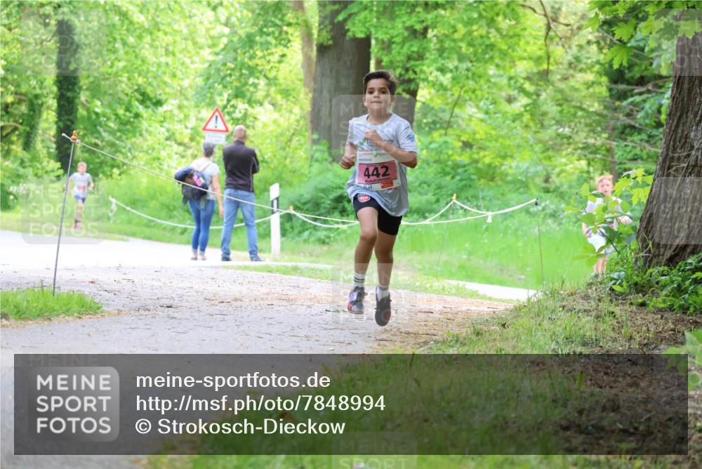 17.05.2025 - Störlauf Strokosch-Dieckow http://msf.ph/oto/7848994 17.05.2025 13:52:45 Laufen 442 meine-sportfotos.de