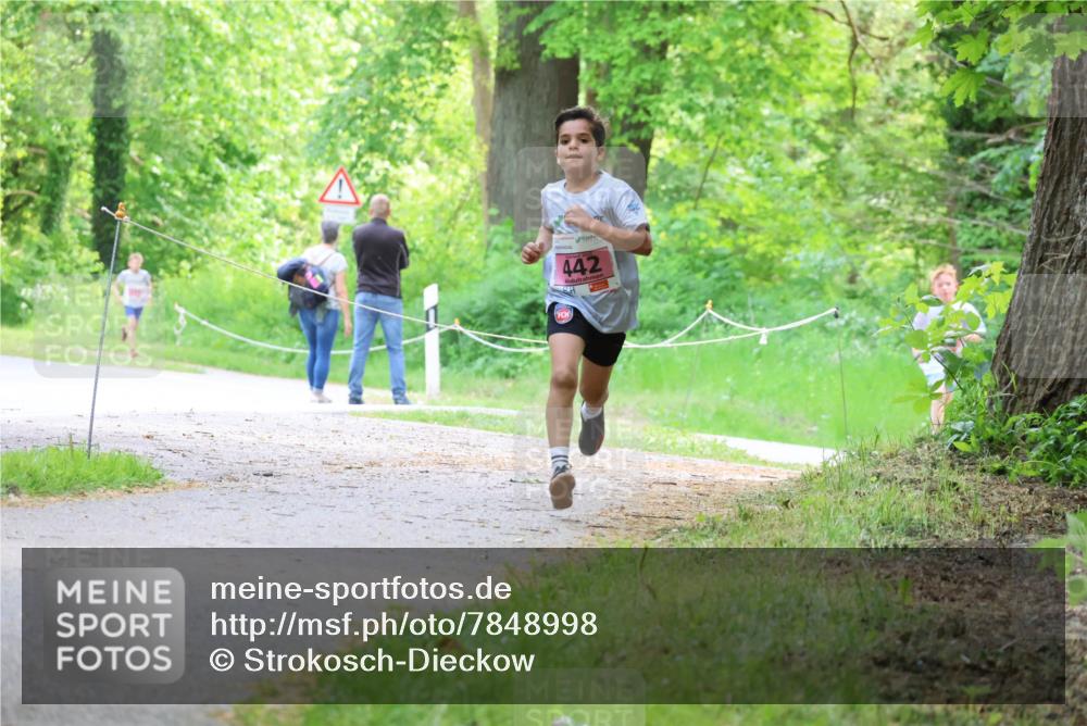 17.05.2025 - Störlauf Strokosch-Dieckow http://msf.ph/oto/7848998 17.05.2025 13:52:45 Laufen 442 meine-sportfotos.de