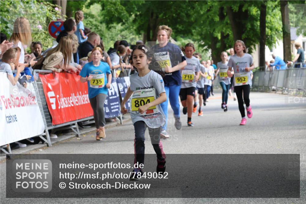17.05.2025 - Störlauf Strokosch-Dieckow http://msf.ph/oto/7849052 17.05.2025 14:13:40 Ziel 735, 2025, 804, 36, 718, 952 meine-sportfotos.de