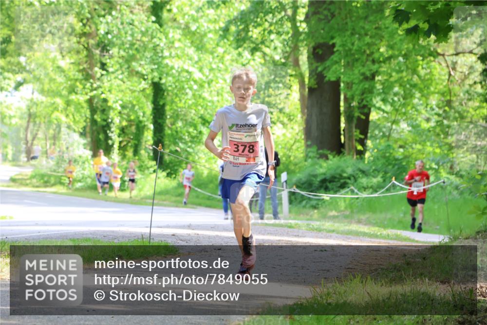 17.05.2025 - Störlauf Strokosch-Dieckow http://msf.ph/oto/7849055 17.05.2025 13:53:08 Laufen 378 meine-sportfotos.de