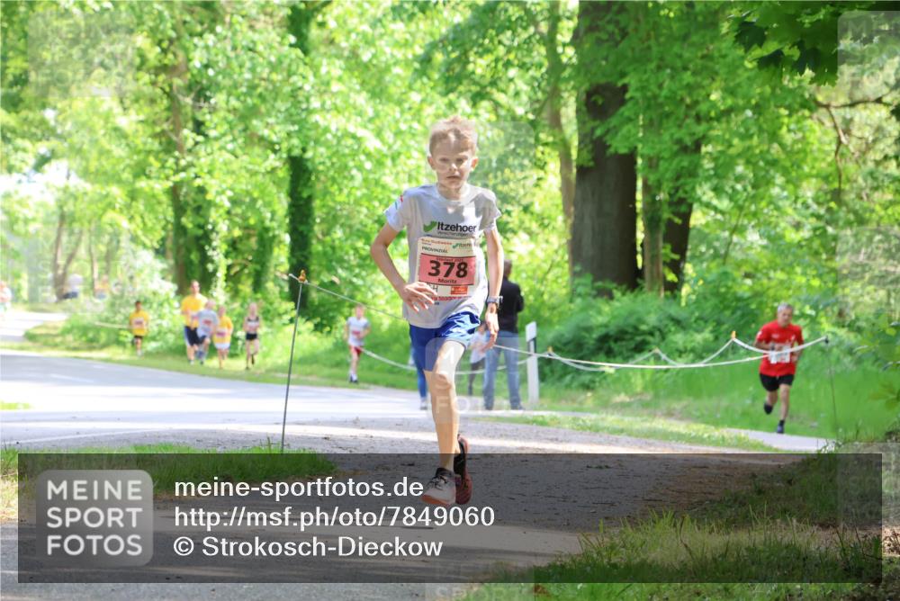 17.05.2025 - Störlauf Strokosch-Dieckow http://msf.ph/oto/7849060 17.05.2025 13:53:08 Laufen 378 meine-sportfotos.de
