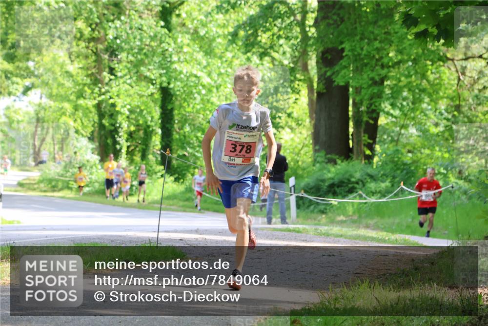 17.05.2025 - Störlauf Strokosch-Dieckow http://msf.ph/oto/7849064 17.05.2025 13:53:08 Laufen 2025, 378 meine-sportfotos.de