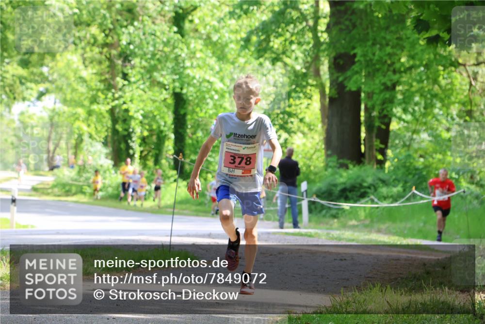 17.05.2025 - Störlauf Strokosch-Dieckow http://msf.ph/oto/7849072 17.05.2025 13:53:08 Laufen 378 meine-sportfotos.de