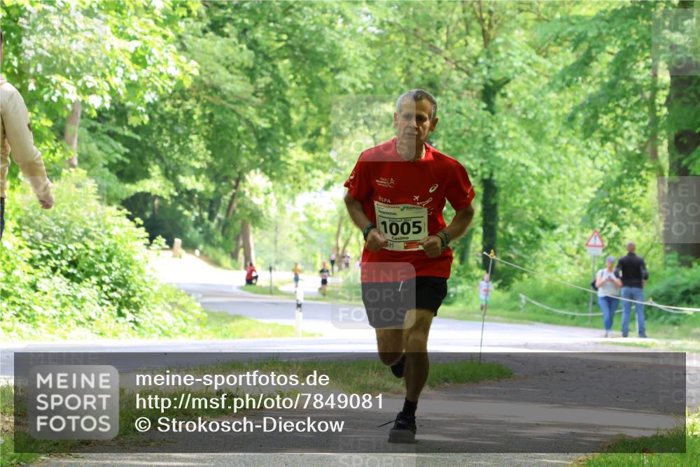 17.05.2025 - Störlauf Strokosch-Dieckow http://msf.ph/oto/7849081 17.05.2025 13:53:22 Laufen 2025, 1005 meine-sportfotos.de