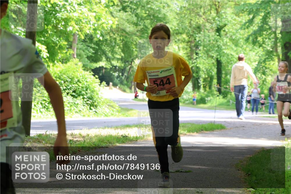 17.05.2025 - Störlauf Strokosch-Dieckow http://msf.ph/oto/7849136 17.05.2025 13:53:33 Laufen 2025, 544 meine-sportfotos.de